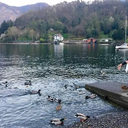 Lejlighed 5-1 Of 11 In An Exclusive By Italian *