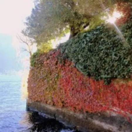 5-1 Of 11 In An Exclusive By Italian 公寓 *